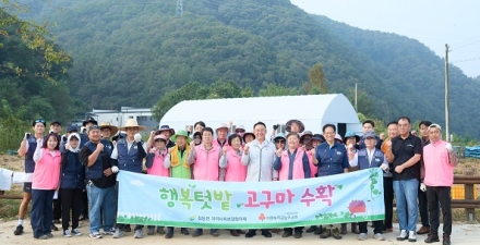 점동면 지역사회보장협의체, “행복텃밭 고구마 수확