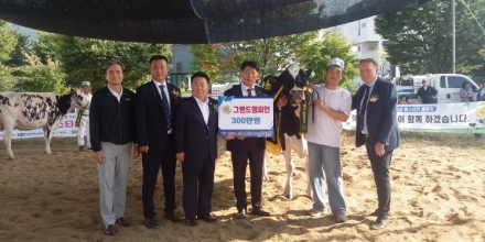 제12회 이천시 홀스타인 품평회 성황리에 개최