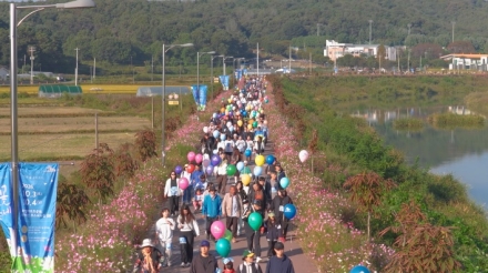 제4회 호법코스모스꽃축제, 가을 정취 속 성황리 개최