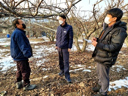 과수 화상병, 걸리면 끝... 여주시, 사전에 예방한다.