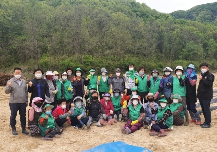 점동면 새마을부녀회 고구마 심기로 구슬땀