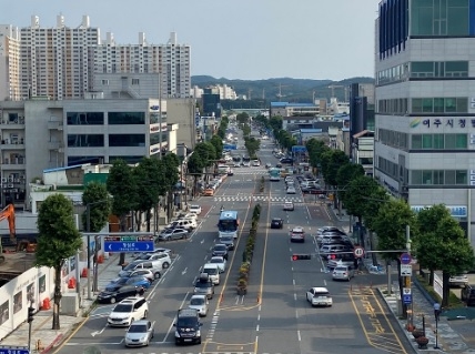 여주시, 세종로 가로수 수형 조절 추진