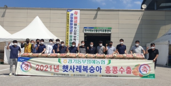 이천시 대표 농산물 ‘햇사레 복숭아’올해 첫 수출길 올라