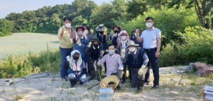 여주시, 생태계 교란식물 ‘쑥쑥’, 가시박 제거 ‘구슬땀’
