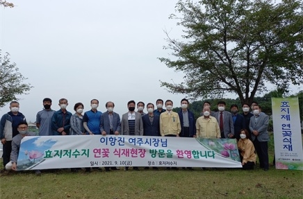 여주시, “효지저수지 연꽃 식재”