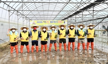 2022년 여주시 ‘대왕님표 여주쌀’ 첫 모내기