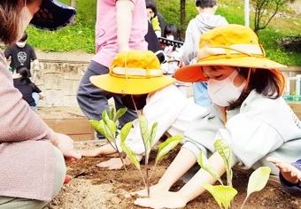 여주 이포초, 토닥토닥 전교생 다모임 생태 텃밭 가꾸기 체험 운영