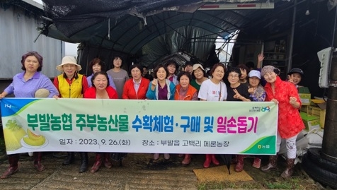 주부농산물 수확 및 구매 체험단 활동