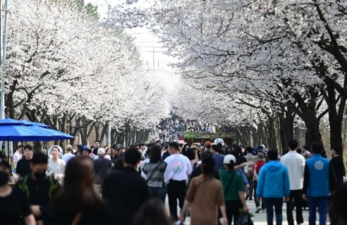 “제8회 여주흥천남한강벚꽃축제” 성황리에 마무리