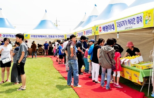 “꿀맛 가득, 꿀잼 풍성 금사참외축제”