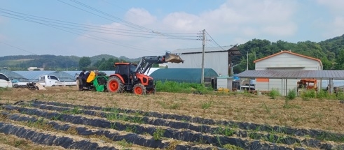여주시농업기술센터, 임대농기계 감자수확기 시연회 가져...