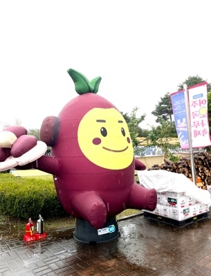 여주시 고구마 캐릭터, 명물이 되다!