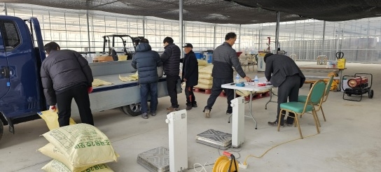 대월농협 잡곡수매 실시