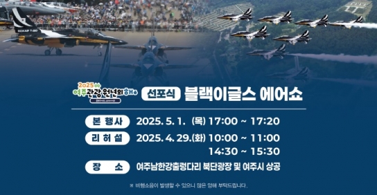 대한민국 공군 특수비행팀 블랙이글스,