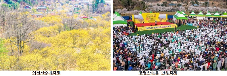 축제.jpg